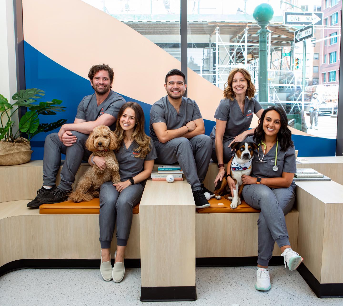 Bond Vet team in clinic