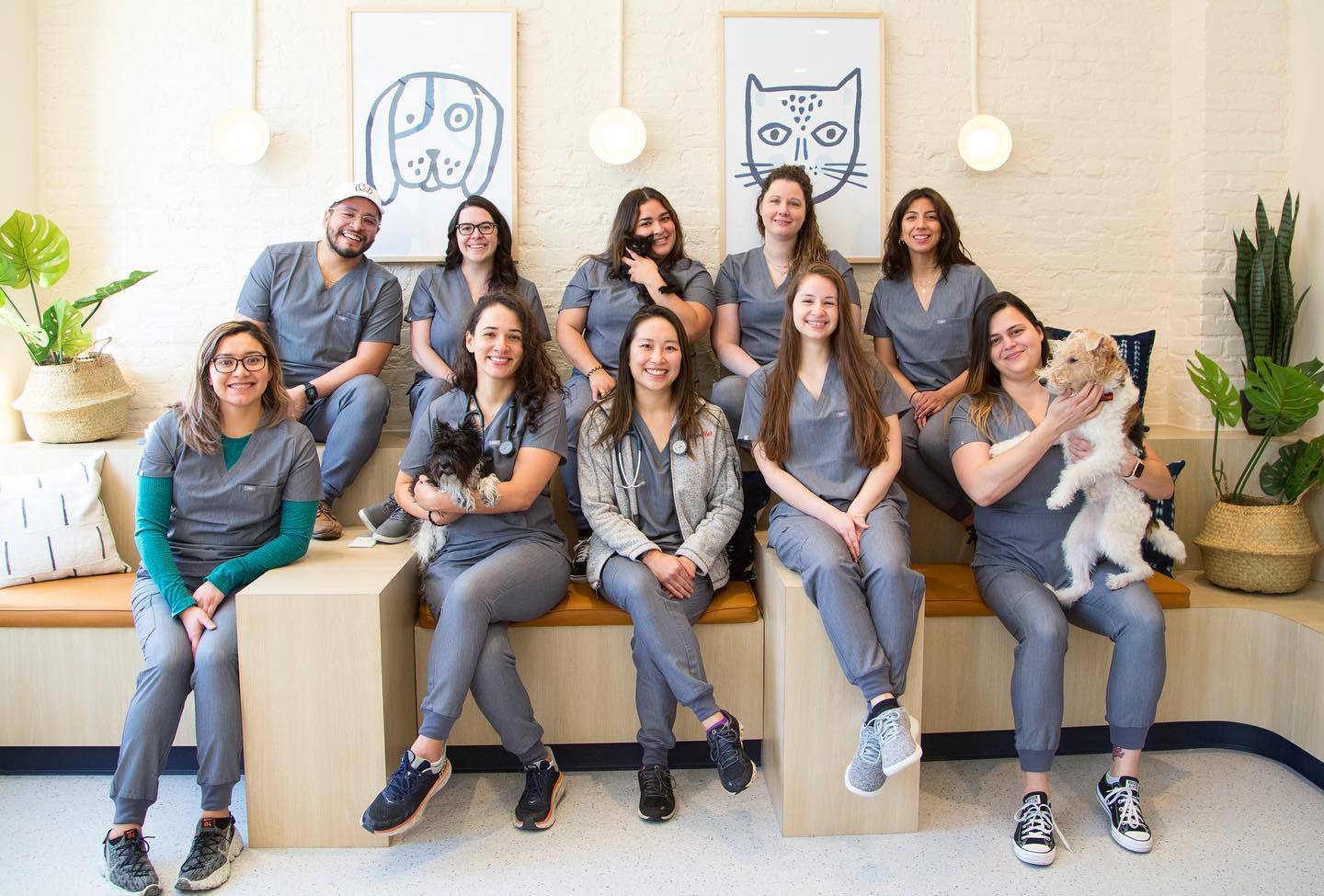 Bond Vet team