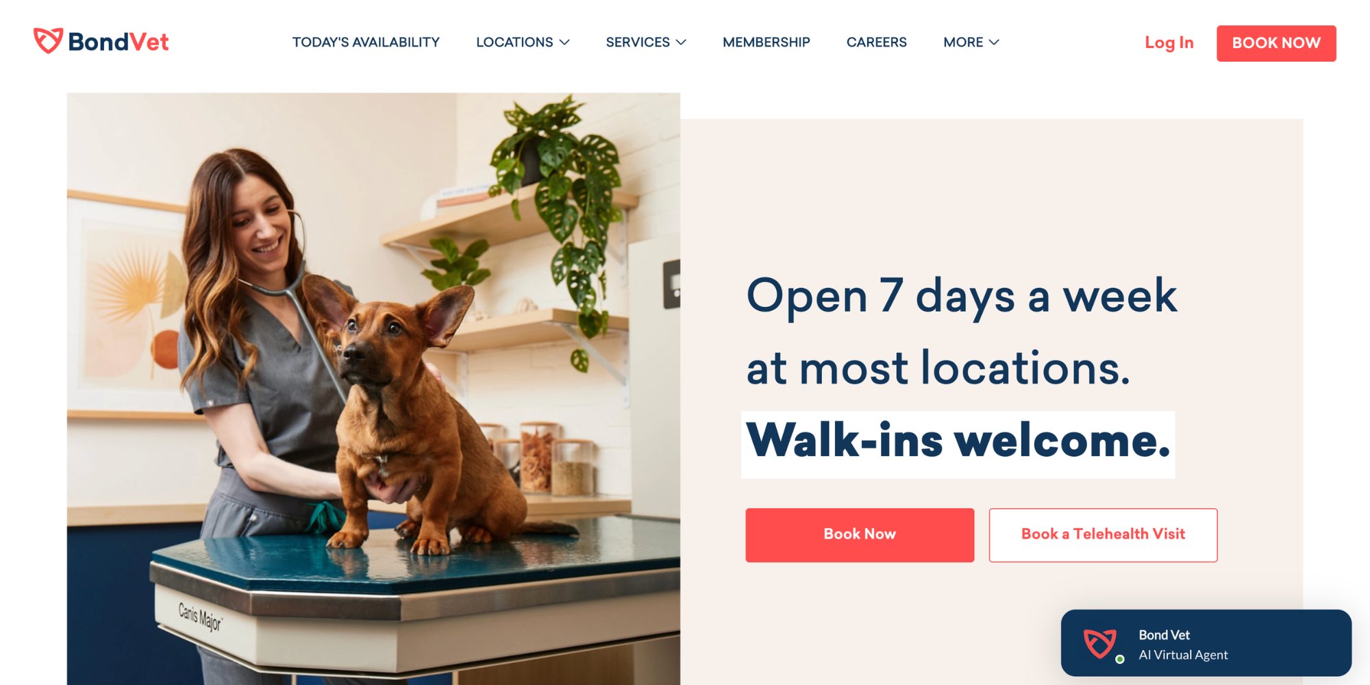 Bond Vet website